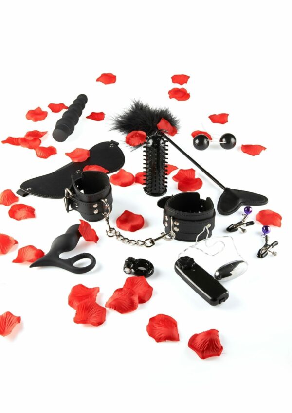 Gioco erotico Starter Kit Lovetoy